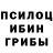 Галлюциногенные грибы Psilocybe Sungat Toktamysov
