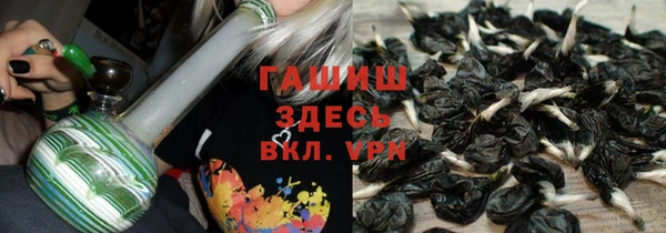 альфа пвп Медвежьегорск