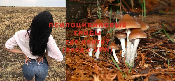 альфа пвп Медвежьегорск